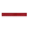 30cm Rulers Red
